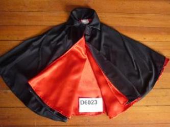 d6023